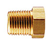 BFMB Series Bushing Fitting